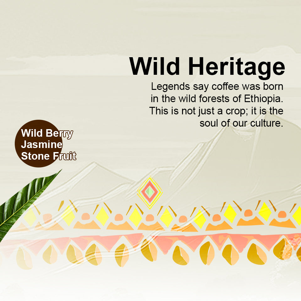 Single origin Ethiopian coffee beans from Sidama region, 1800–2200 masl altitude
